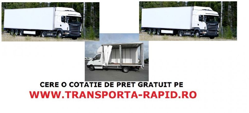 Turica - Servicii transport rapid